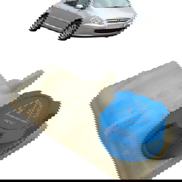 Reservatório Fluido Freio Peugeot 307 1.6 2005