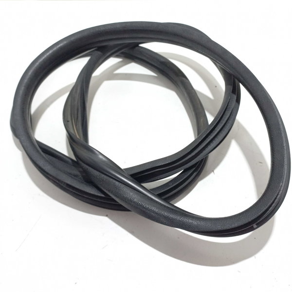 Borracha Porta Traseira Renault Clio