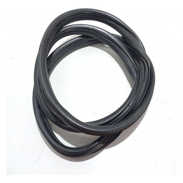 Borracha Porta Traseira Renault Clio