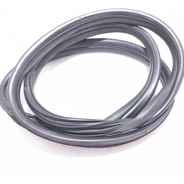 Borracha Porta Traseira Renault Clio