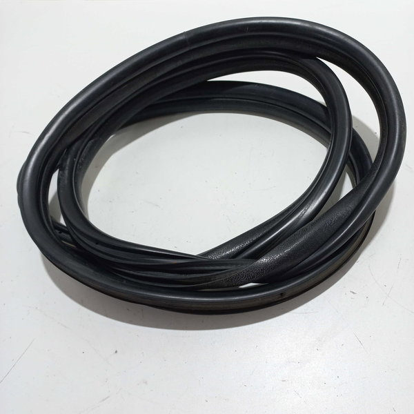 Borracha Porta Traseira Renault Clio