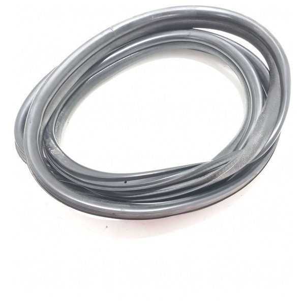 Borracha Porta Traseira Renault Clio