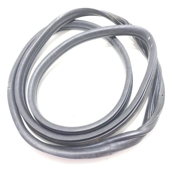 Borracha Porta Dianteira Renault Clio