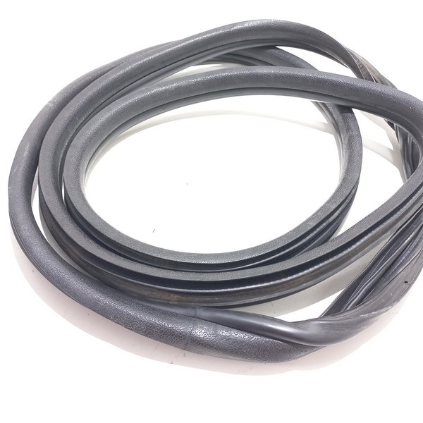 Borracha Porta Dianteira Renault Clio