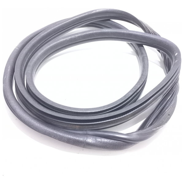 Borracha Porta Dianteira Renault Clio