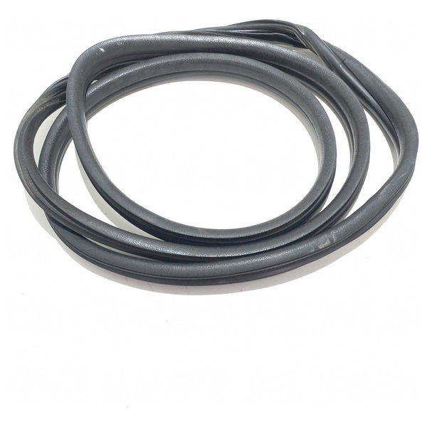 Borracha Porta Dianteira Renault Clio