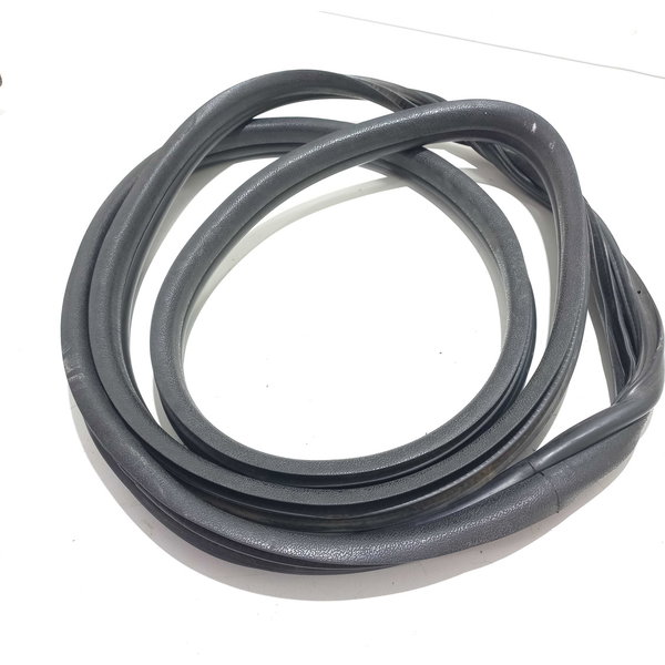 Borracha Porta Dianteira Renault Clio