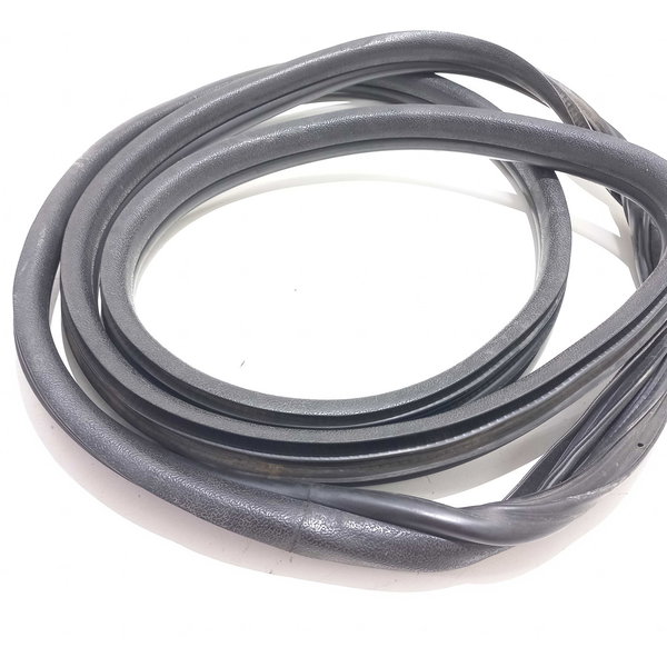 Borracha Porta Dianteira Renault Clio