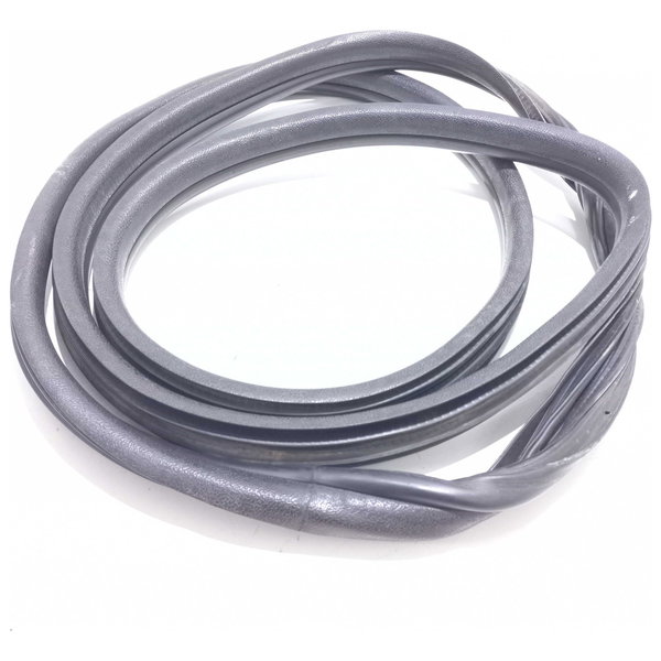 Borracha Porta Dianteira Renault Clio