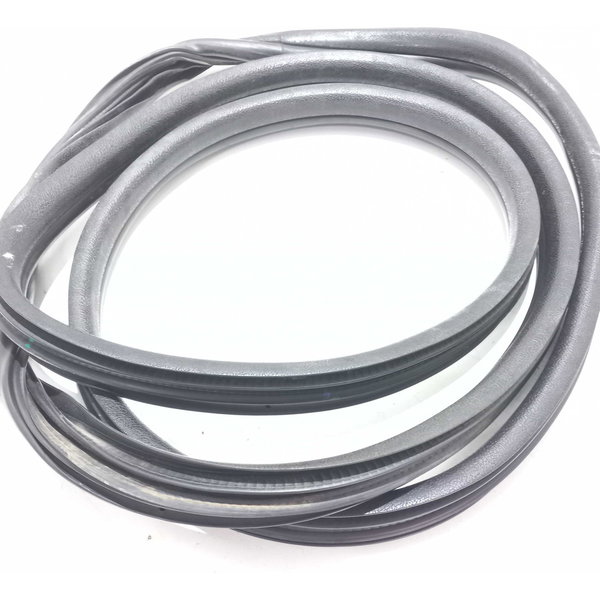 Borracha Porta Dianteira Renault Clio