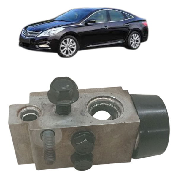 Valvula Expansão Ar Condicionsado Hyundai Azera 3.0 2013