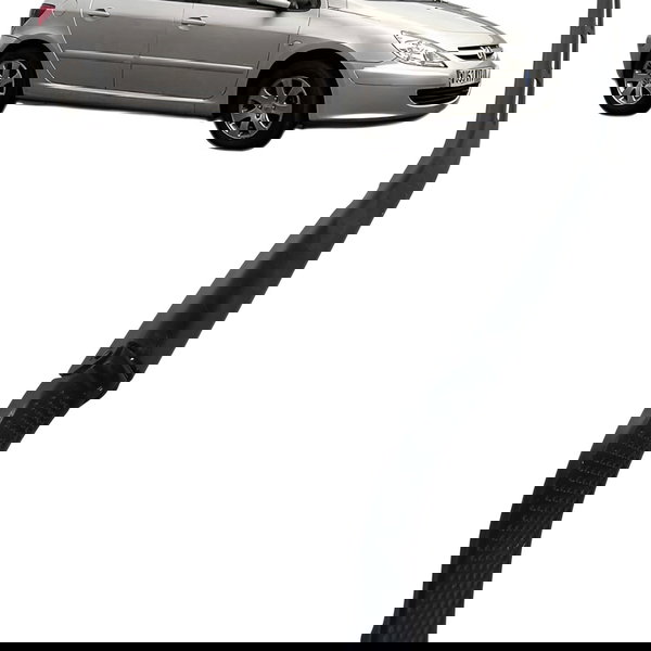 Braço Limpador Parabrisa Esquerdo Peugeot 307 2006