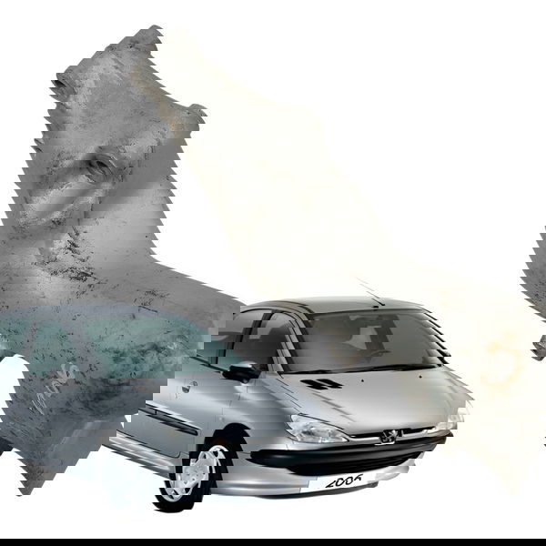 Suporte Coxim Motor Direito Peugeot 206 1.4 2008