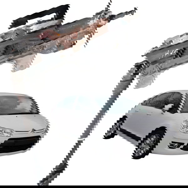 Coluna Direção Citroen C4 Hatch 1.6 Glx 2013 2014 2015 2016