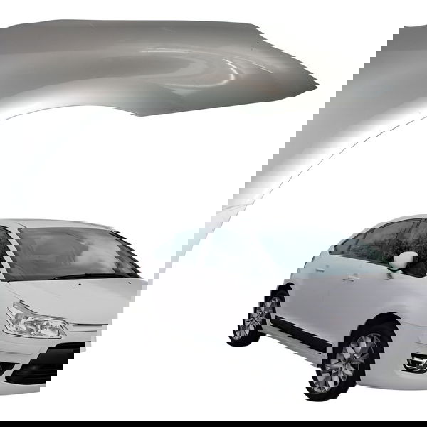 Paralama Dianteiro Direito Citroen C4 2.0 20032004 2005 2006