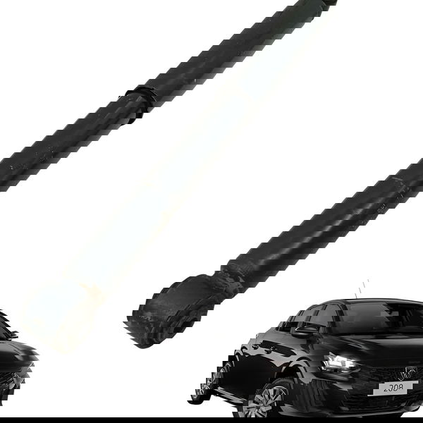 Amortecedor Traseiro Peugeot 208 1.5 2013 2014 2015