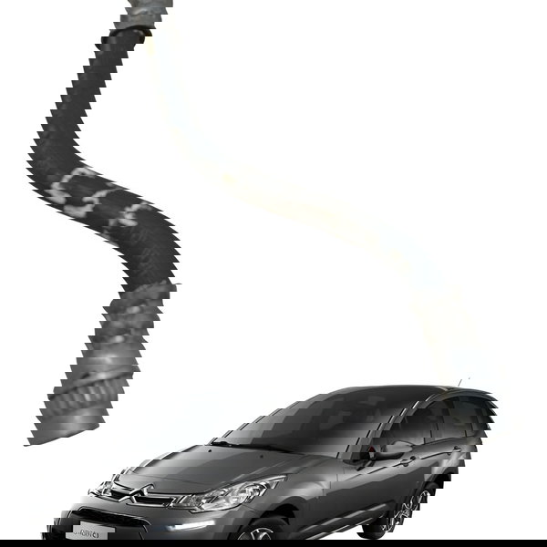 Flexivel Freio Dianteiro Esquerdo Citroen C3 1.5 2016 2017