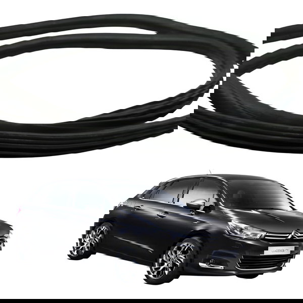 Borracha  Porta Traseira Esquerda Citroen C4 2013 2014