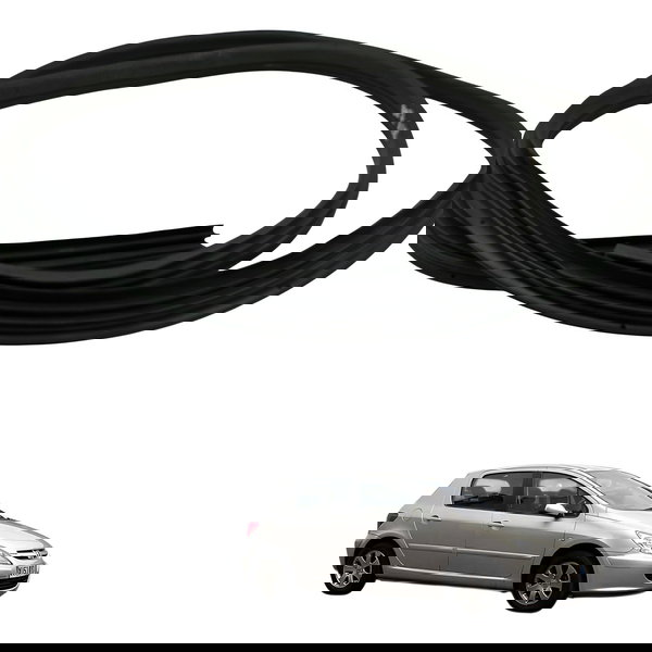 Borracha Porta Dianteira Esquerda Peugeot 307 1.6 2006 2007