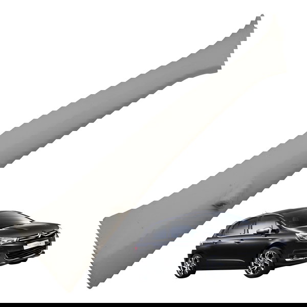 Acabamento Esquerdo Parabrisa Citroen C4 Lounge 2015 2016