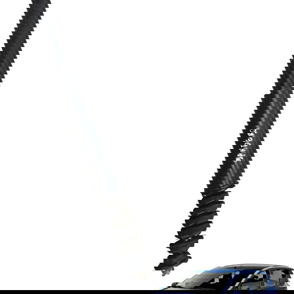 Amortecedor Traseiro Renault Sandero 1.0 2017 2018 2019 2020