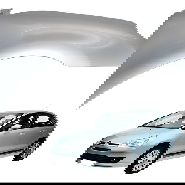 Paralama Dianteiro Direito Citroen C4 Pallas 2008 2009 2010