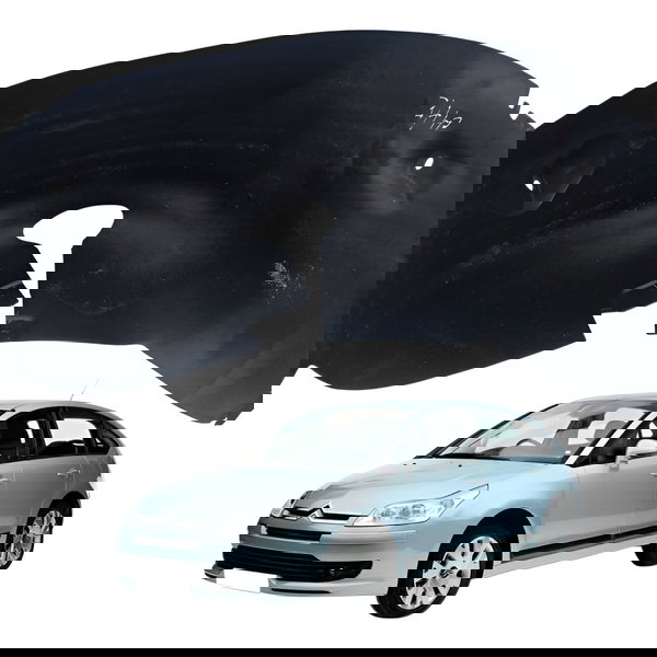 Parabarro Traseiro Esquerdo Citroen C4 Pallas 2008 Detalhe