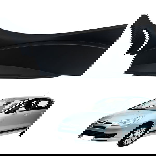 Acabamento Soleira Traseira Direita C4 Pallas 2008 Detalhe