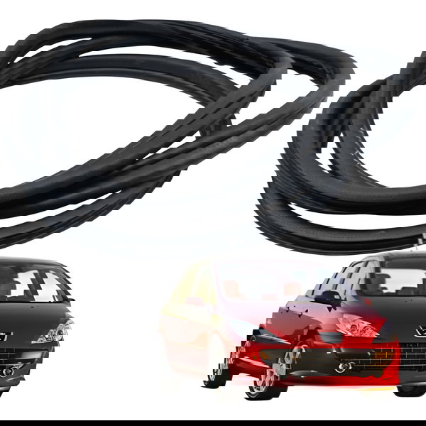 Borracha Porta Dianteira Direita Peugeot 307 2006 2007 2008