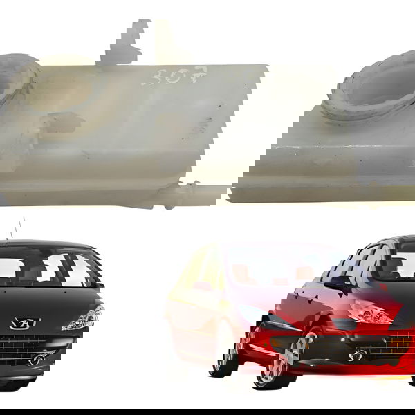 Reservatorio Fluido Freio Peugeot 307 308 1.6 2006 2007 2008