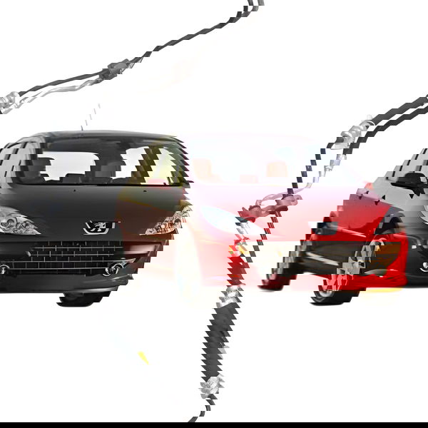 Mangueira Direção Hidraulica Peugeot 307 1.6 2006 2007 2008