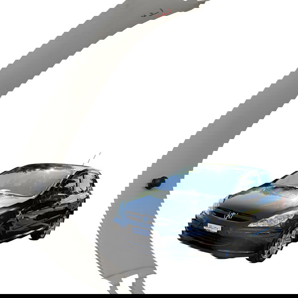 Acabamento Vidro Porta Malas Esquerdo Peugeot 307 2006 2007