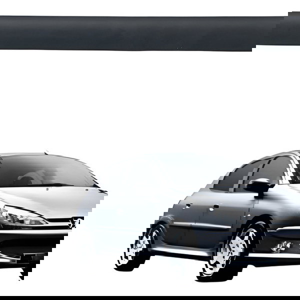 Friso Porta Traseira Direita Peugeot 307 2005 2006 Detalhe