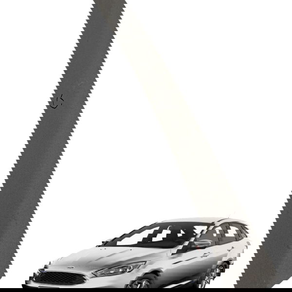 Acabamento Moldura Direita Teto Ford Focus 2001 2002 2003