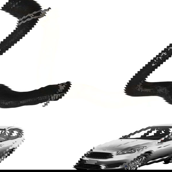 Mangueira Superior Radiador Ford Focus Glx 2001 2002 2003
