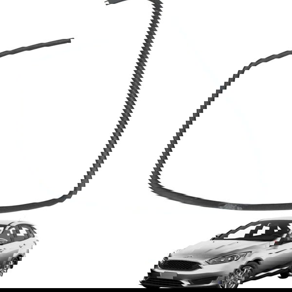 Borracha Vedação Porta Dianteira Direita Ford Focus 2002