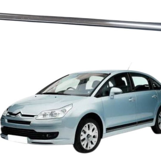 Canaleta Dianteiro Direito Citroen C4 Pallas 2008 Detalhe