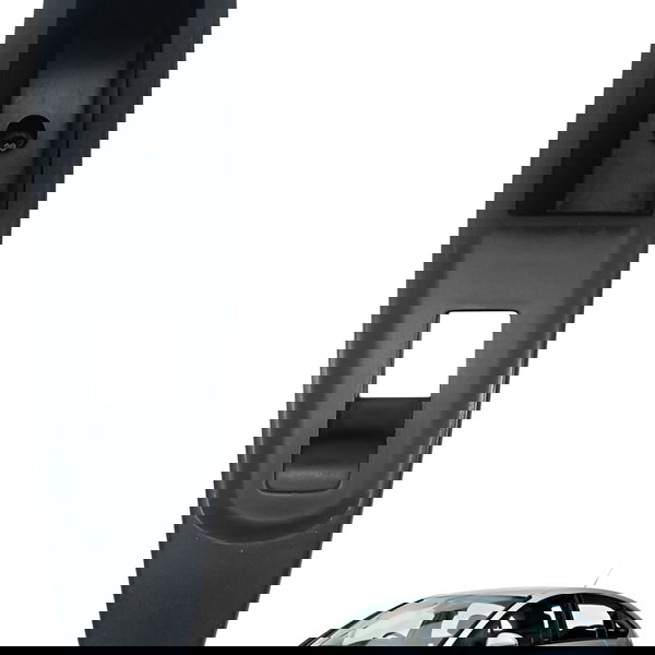 Moldura Botão Porta Traseira Direita Citroen C4 Pallas 2009