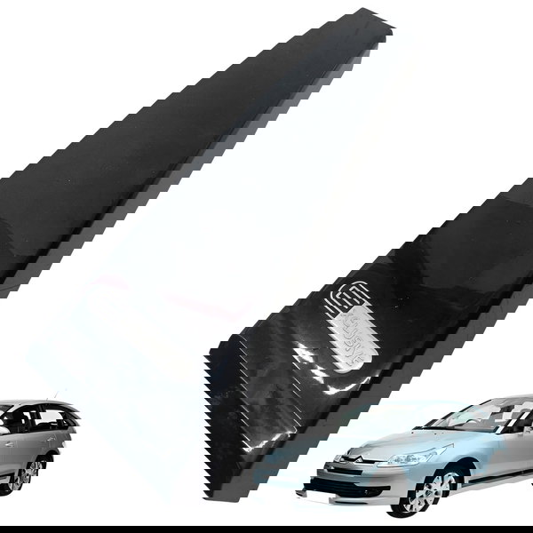 Coluna Porta Externa Direita Citroen C4 Pallas 2008 Detalhe