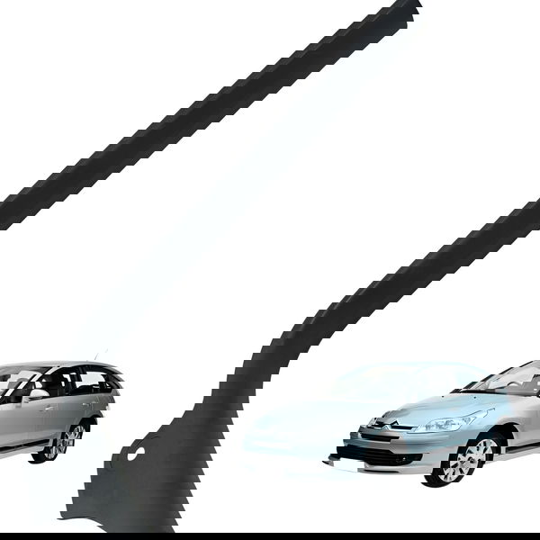 Soleira Dianteira Esquerdo Citroën C4 Pallas 2008 2009 2010