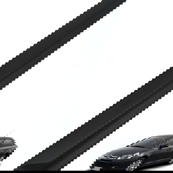 Friso Porta Traseira Esquerda Citroën C4 Pallas 2008 2009