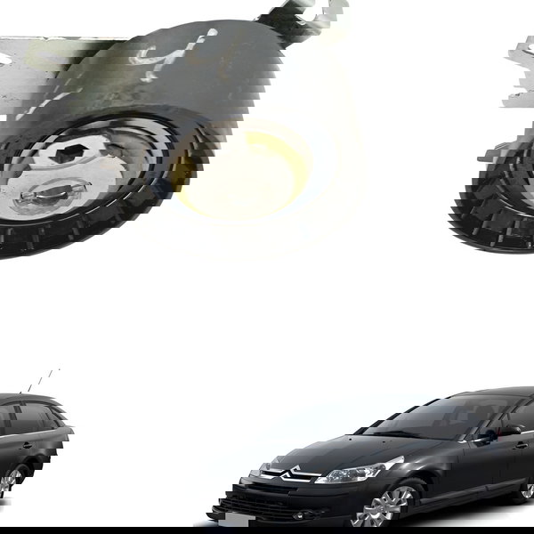 Polia Esticador Correia Citroen C4 Pallas 2008 2009 2010