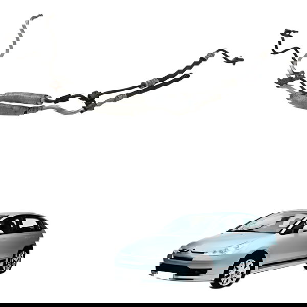 Mangueira Direção Hidraulica Citroen C4 Pallas 2008 2009