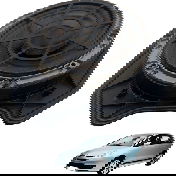 Moldura Auto Falante Traseiro Direito Citroen C4 Pallas 2008