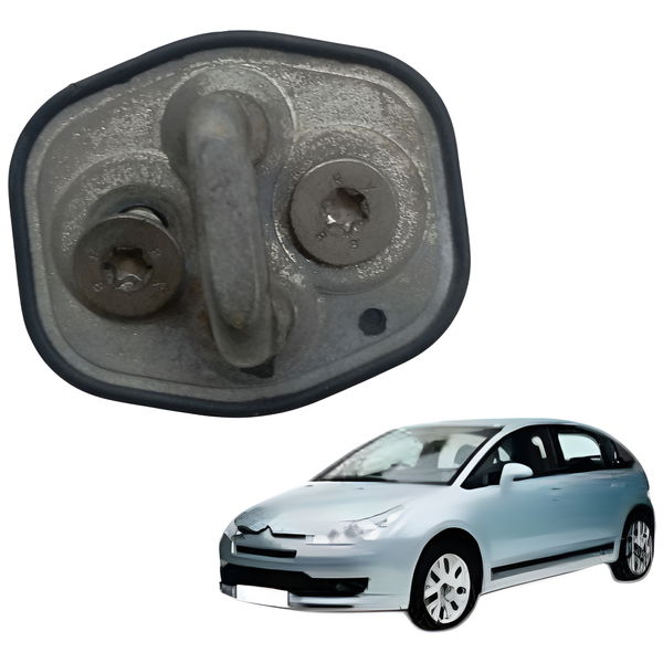 Batente Porta Citroen C4 Pallas 2.0 2008 2009 2010 2011 2012 Azul-turquesa