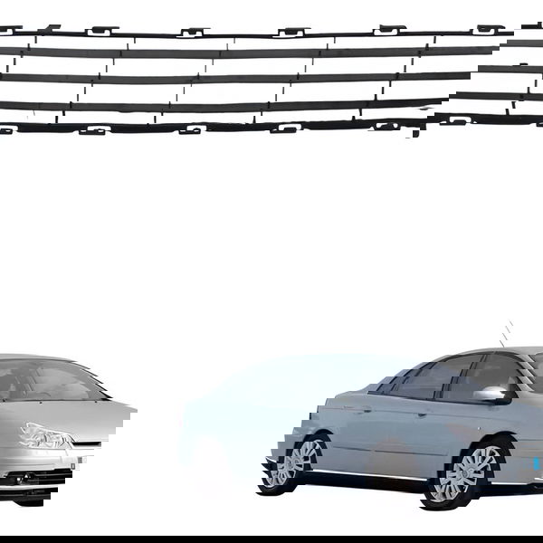 Grade Inferior Parachoque Dianteira Citroen C5 2003 Detalhe