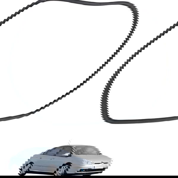 Borracha Porta Traseira Direita Citroen C4 Pallas 2008 2009