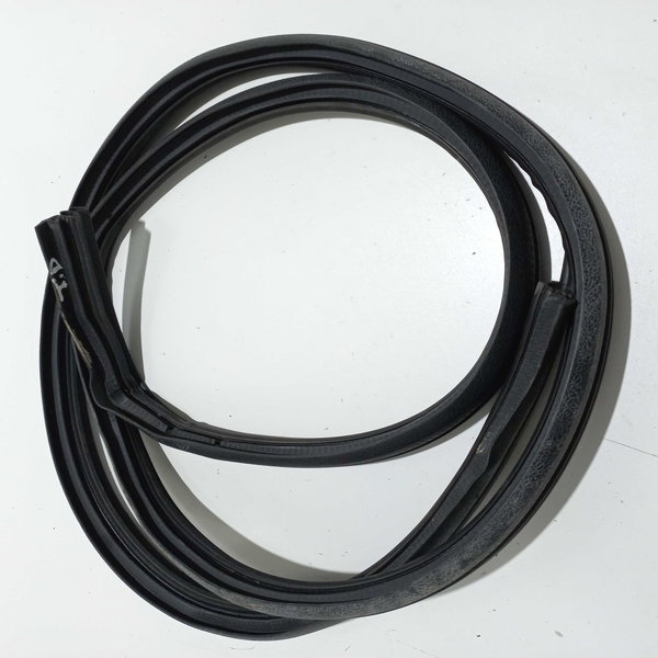 Borracha Porta Traseira Direita Fiat Siena 2011