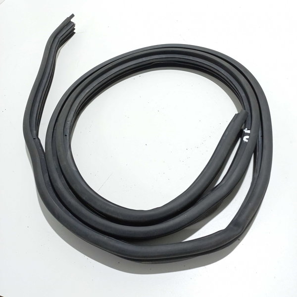 Borracha Porta Dianteira Esquerda Fiat Siena 2011