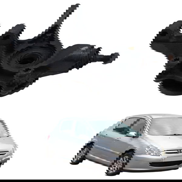 Montante Cubo Manga Eixo Direito Peugeot 307 2005 Detalhe